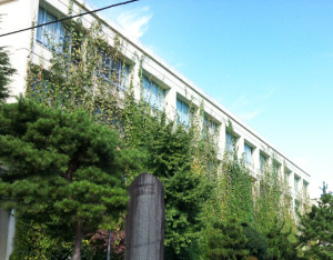 グリーンカーテン