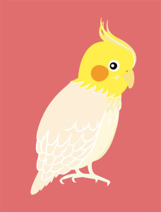 Parakeet 　インコ　鳥　イラスト　挿絵　素材